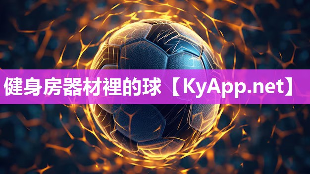 健身房器材裡的球