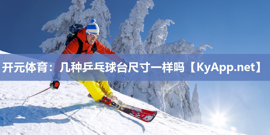 几种乒乓球台尺寸一样吗