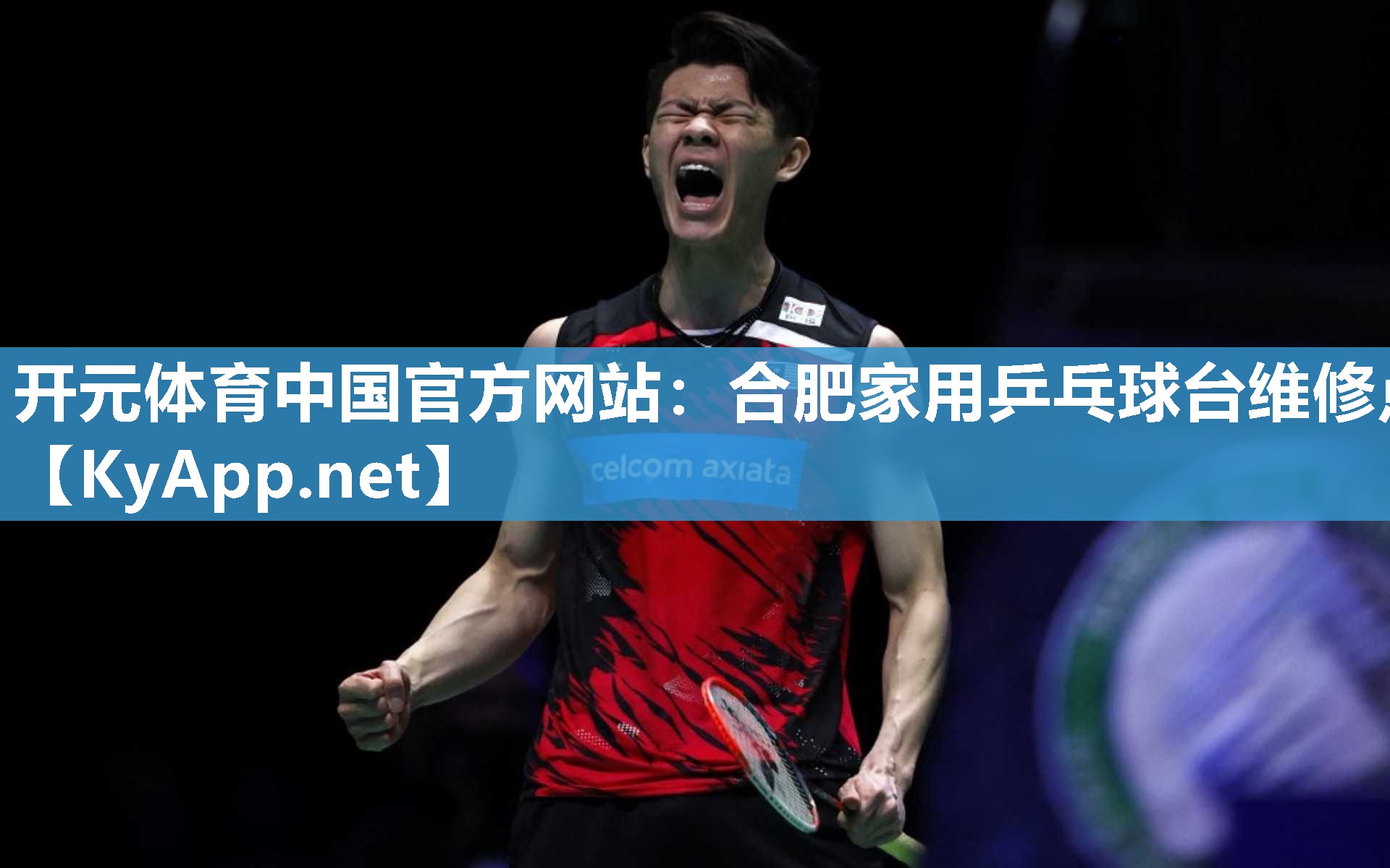 合肥家用乒乓球台维修点