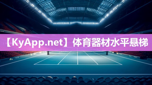 体育器材水平悬梯