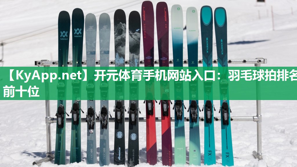羽毛球拍排名前十位