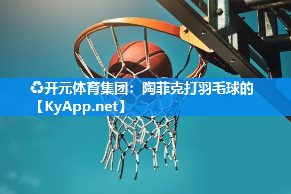 陶菲克打羽毛球的