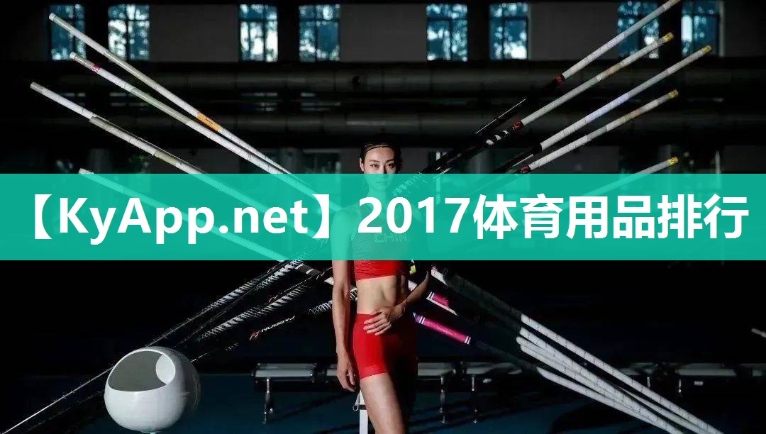 2017体育用品排行