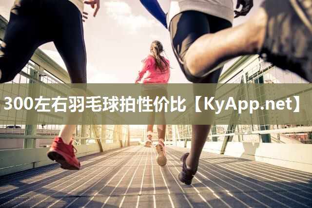 300左右羽毛球拍性价比