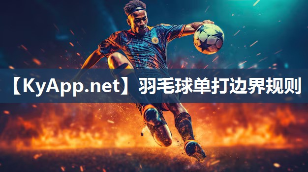 羽毛球单打边界规则