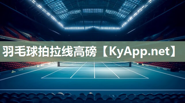 羽毛球拍拉线高磅