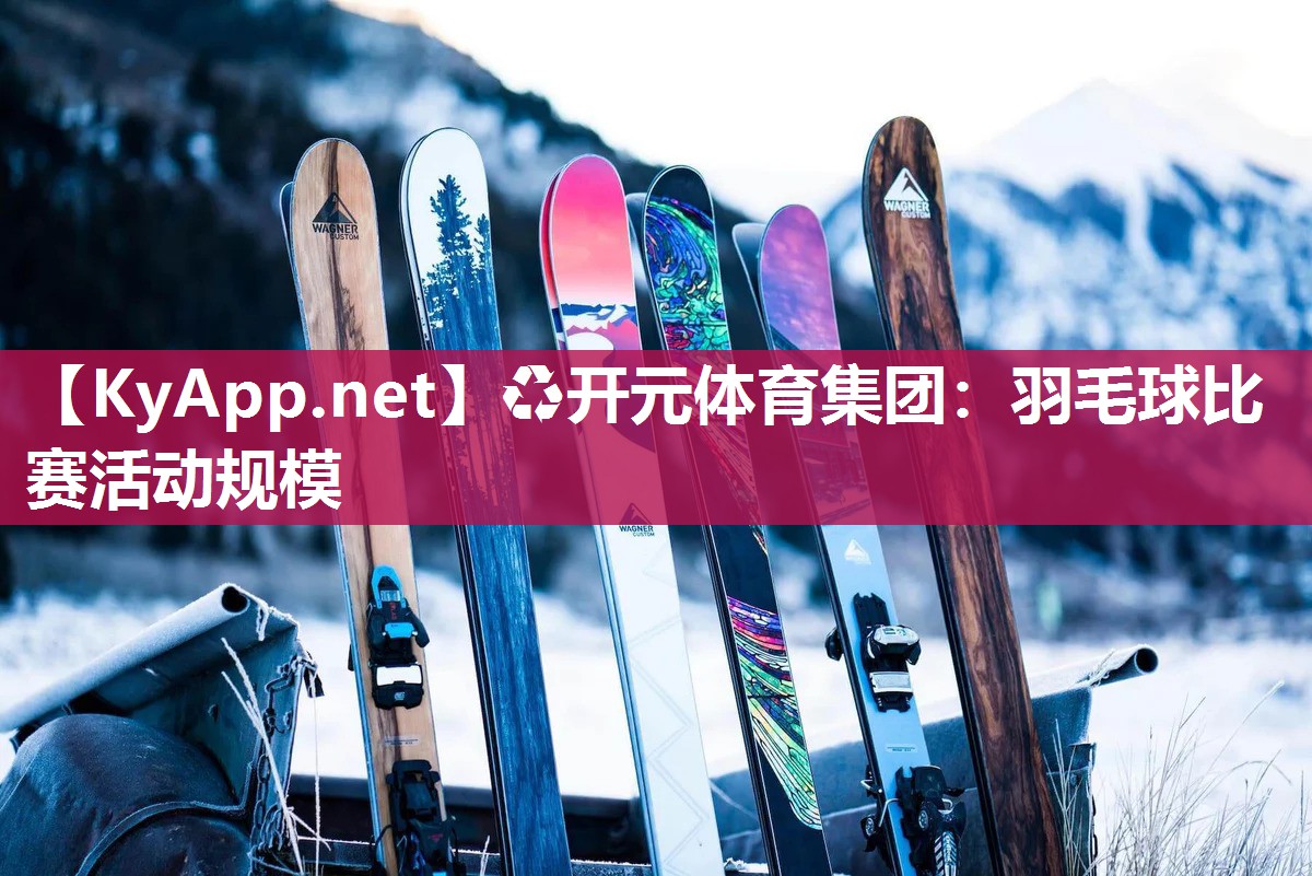 羽毛球比赛活动规模